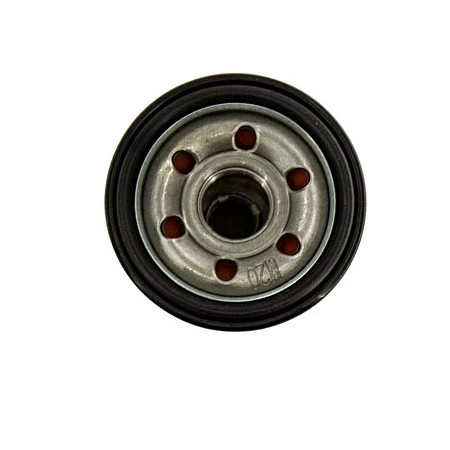 Фильтр масляный BenelIi 502C, 752S, L500, L500T, L800, L800T, T502, T502X